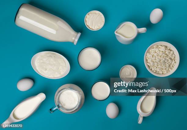 directly above shot of dairy products on blue background - yogurt milk stock pictures, royalty-free photos & images