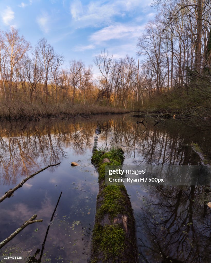 Scenic view of lake against sky,Bethesda,Maryland,United States,USA