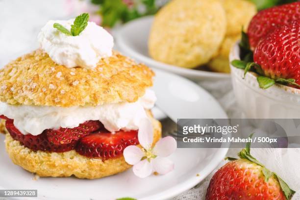close-up of dessert in plate,west chester,pennsylvania,united states,usa - jordgubbskaka bildbanksfoton och bilder