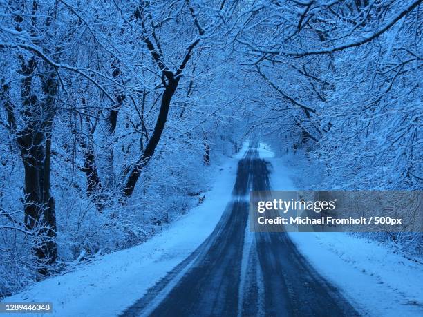 empty road amidst snow covered trees,lagrotownship,indiana,united states,usa - indiana nature stock pictures, royalty-free photos & images