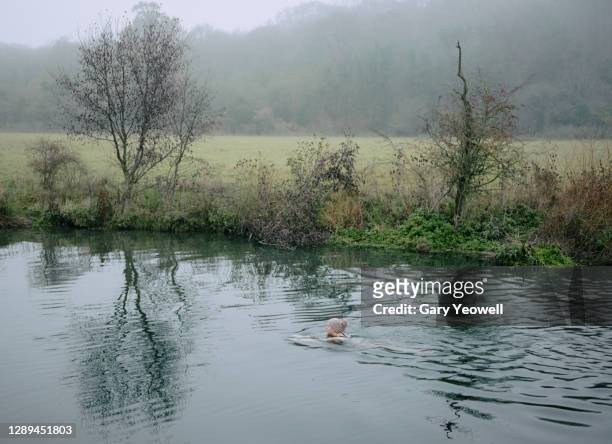 female swimmer in winter - studio portrait swimmer stock pictures, royalty-free photos & images
