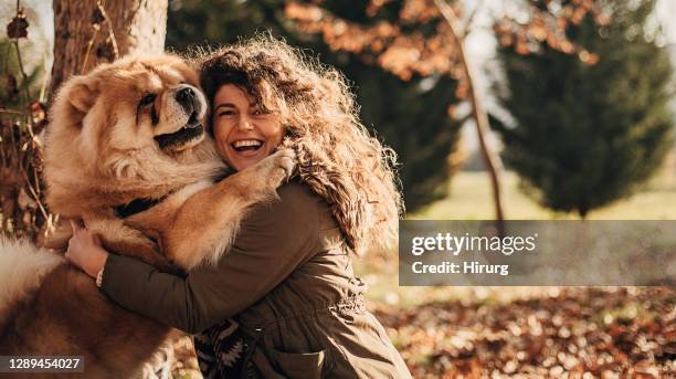 woman cuddling with her chow dog in autumn park - white chow chow stock pictures, royalty-free photos & images