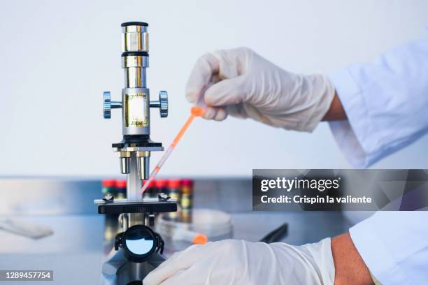 Microscopes Hand Help Hand Microscope Photos and Premium High Res Pictures - Getty Images