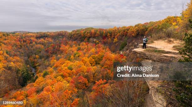 observing fall colors at dundas peak - hamilton ontario stock pictures, royalty-free photos & images