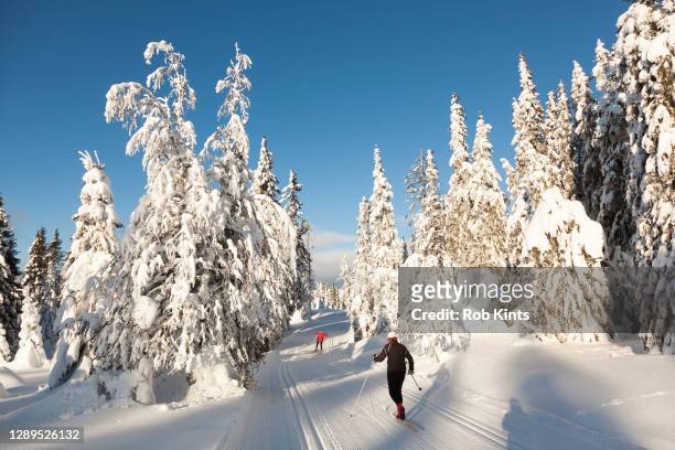 two cross country skiers on the langlauf tracks near lillehammer norway - langlaufski stock-fotos und bilder