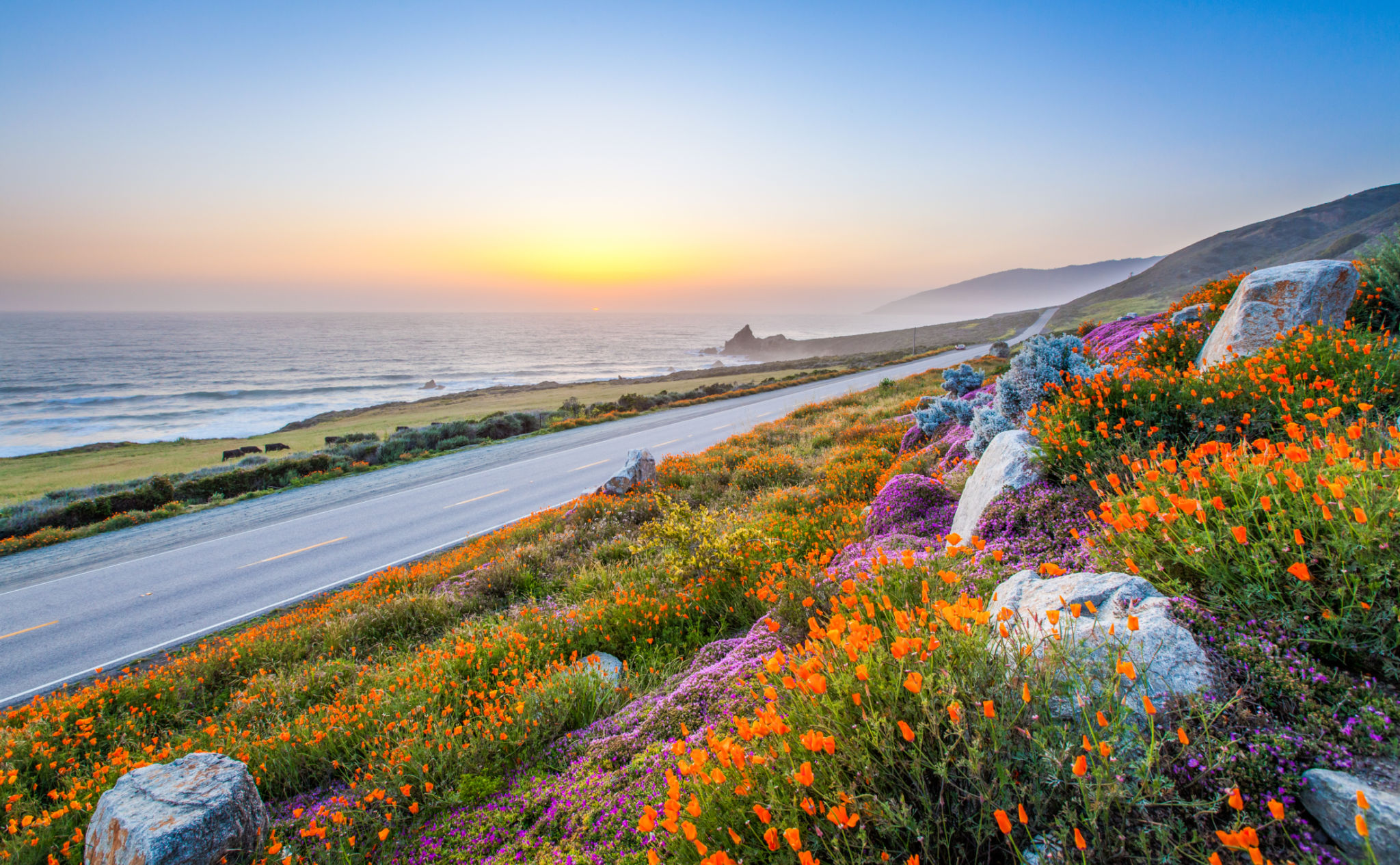 california landscape