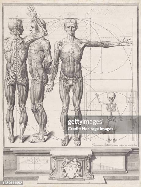 Plate for the ?Atlas Anatomico? , Plate ca. 1680-94; printed 1740. Artist Cris�stomo Mart�nez.
