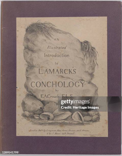 An Illustrated Introduction to Lamarck's Conchology; Contained in His Histoire Naturelle des Animaux Sans Vert�bres: Being a Literal Translation of...