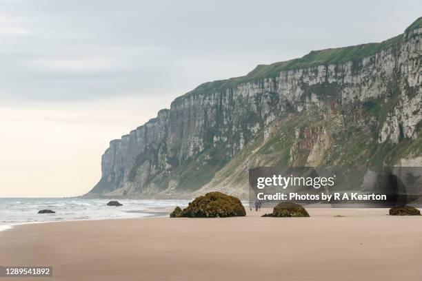 filey bay and bempton cliffs, north yorkshire, england - beach england stock pictures, royalty-free photos & images