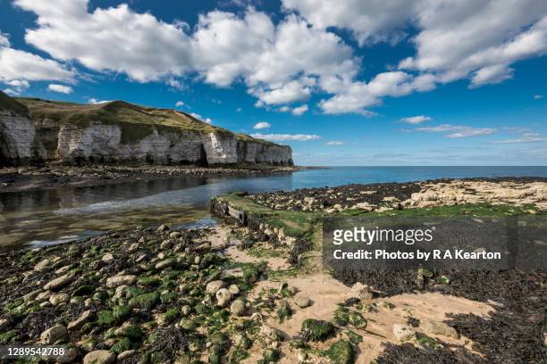 chalk cliffs at north landing, flamborough, north yorkshire - east riding of yorkshire stock-fotos und bilder