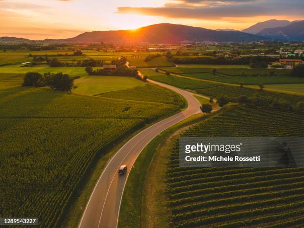 wine road - scena rurale foto e immagini stock