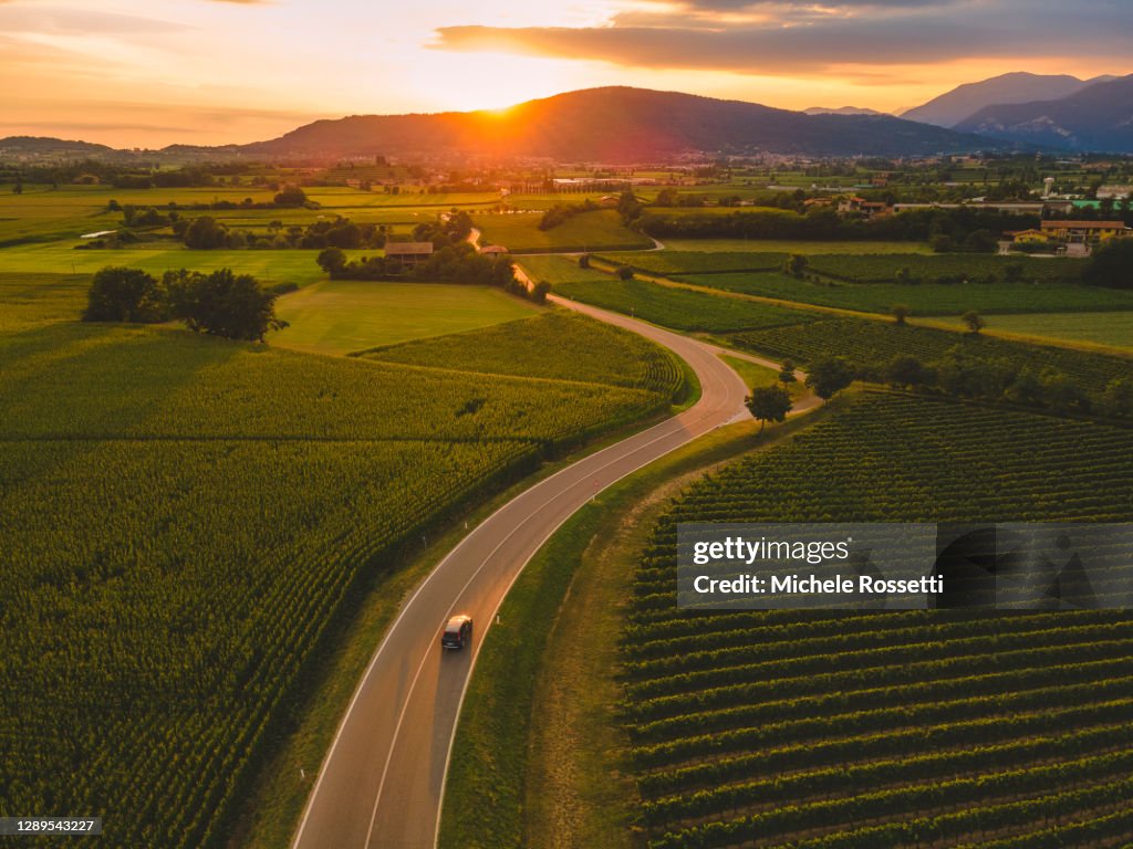 Wine road