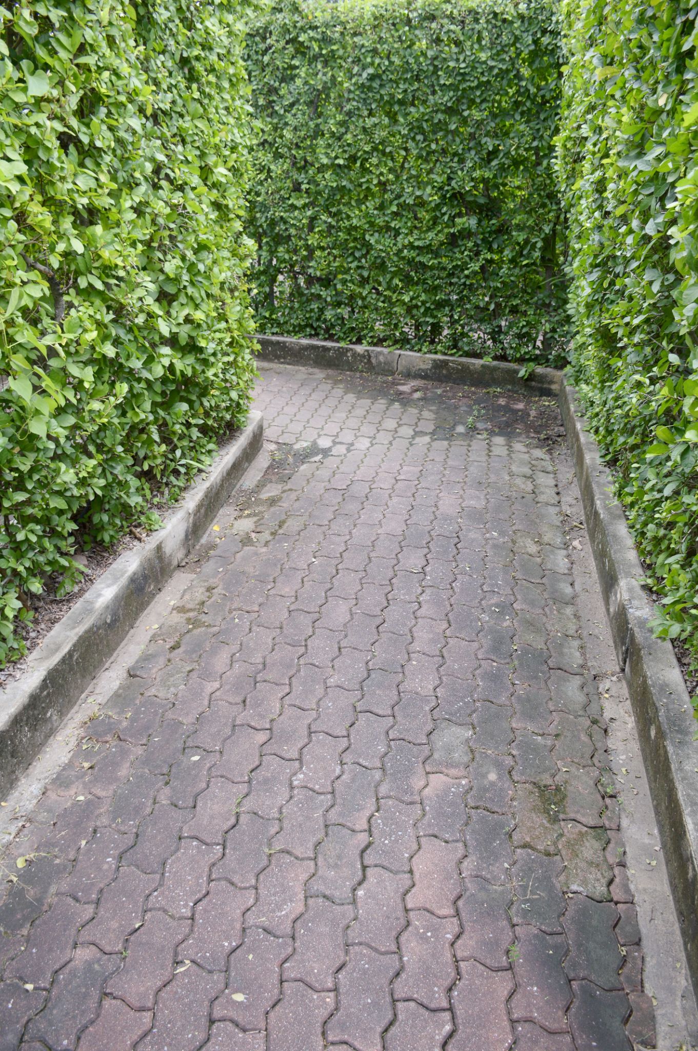 allée entretien