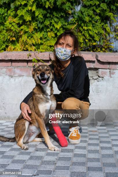an injured dog and his new human - injured dog stock pictures, royalty-free photos & images
