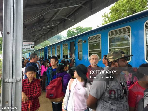 train ride in the tea plantations of central sri lanka - sri lanka train stock pictures, royalty-free photos & images