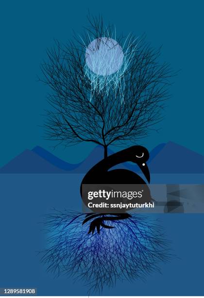 bird ,landscape ,duck, - zoo landscape vector stock illustrations