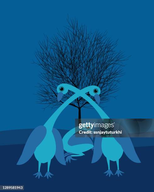 bird ,landscape ,duck, - zoo landscape vector stock illustrations