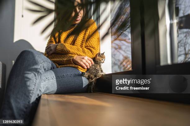 陽光明媚的日子， 女人坐在窗臺上， 而小貓在她旁邊玩 - window sill 個照片及圖片檔