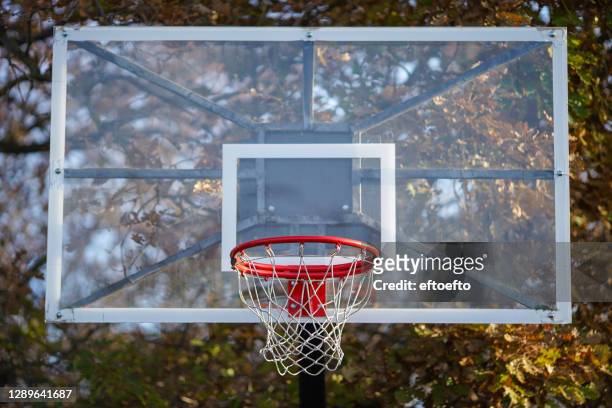 home made basketball field in the yard.  sports field. basketball hoop and net. ball games - hobbies. sporting equipment at home. basket outside. - basketball hoop stock pictures, royalty-free photos & images