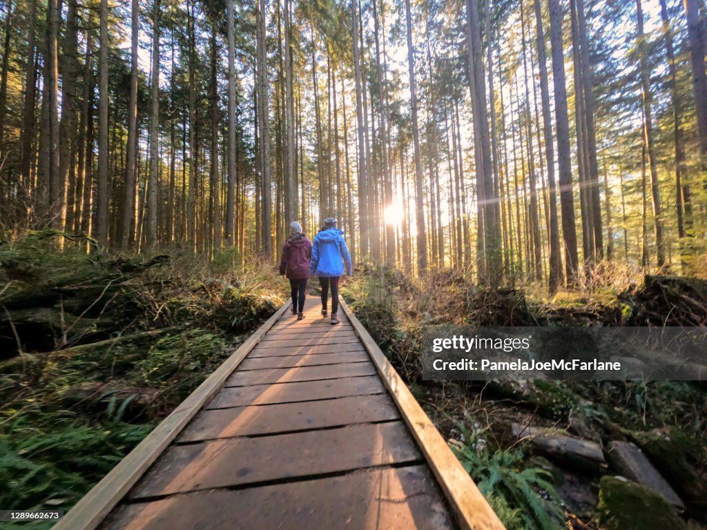 Daughter and Mother Walking Along Boardwalk Through Sunlit Winter Forest