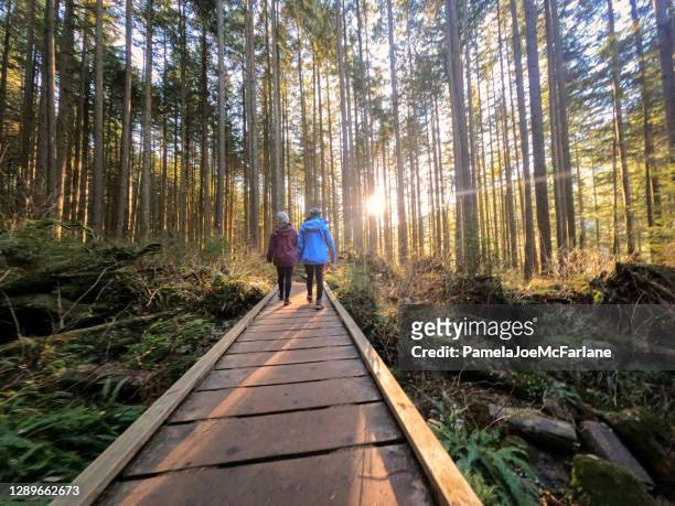 daughter and mother walking along boardwalk through sunlit winter forest - vancouver canada stock pictures, royalty-free photos & images