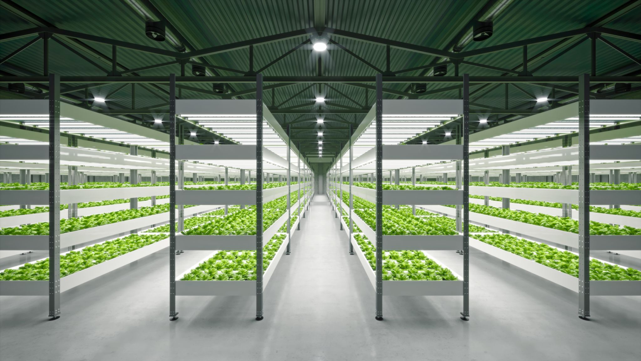 hydroponic supplies