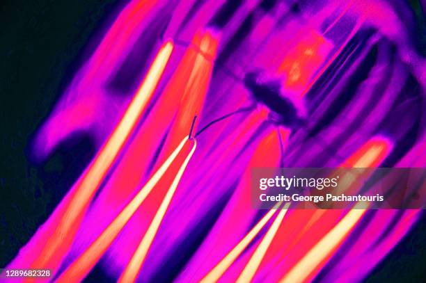 close-up infrared photo of an incandescent lamp - infrared lamp stock pictures, royalty-free photos & images