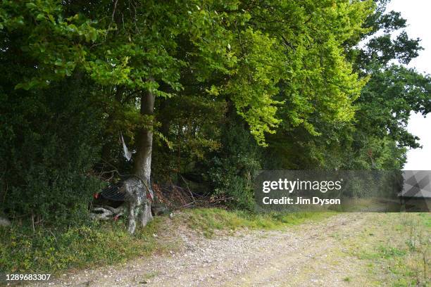 The tree that is believed to have inspired Roald Dahl as the home for his character Mr Fox is pictured in Jones Hill Wood at a protest camp against...