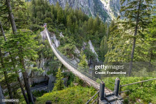 handeckfallbrücke en suisse - pont suspendu photos et images de collection
