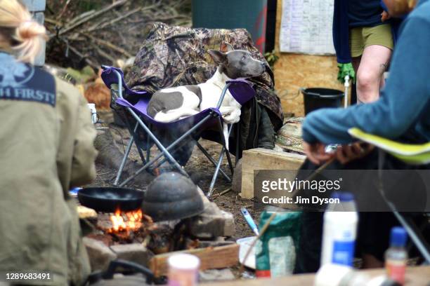 Luna occupies a seat by the camp fire at a protest camp in Jones Hill Wood against the HS2 High Speed Rail line and its proposed route through the...