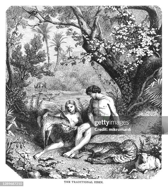 old engraved illustration of the garden of eden - adam pretty stockfoto's en -beelden