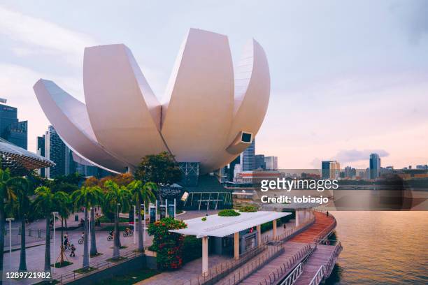 artscience museum singapore - artscience museum stock pictures, royalty-free photos & images