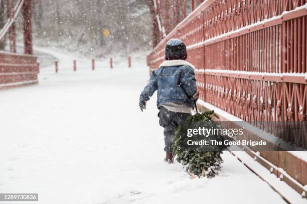 boy with freshly cut christmas tree walking in snow - country christmas 個照片及圖片檔