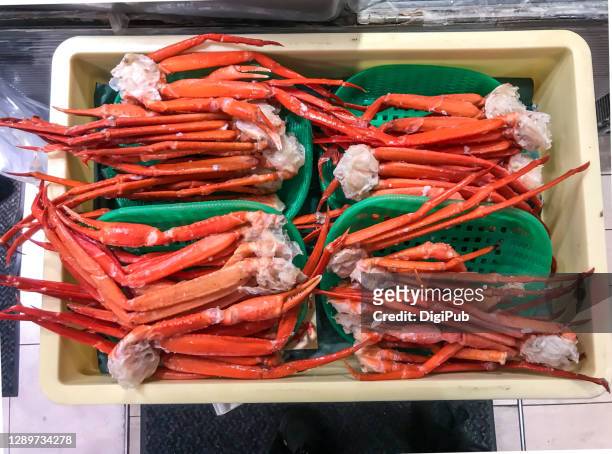 queen crab legs, legs of snow crabs - chionoecetes opilio stock pictures, royalty-free photos & images