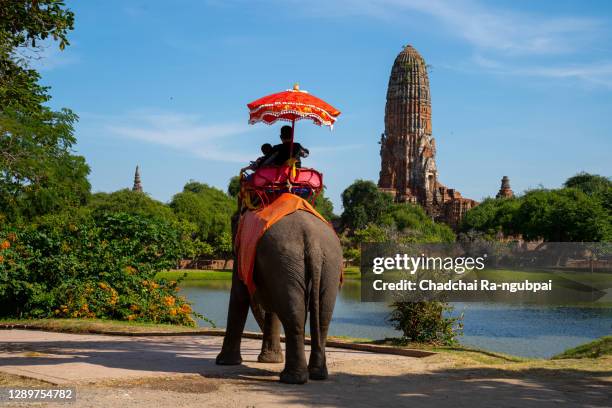 family ride elephant and take a photo in the historical park of ayutthaya, thailand. - ayuthaya imagens e fotografias de stock