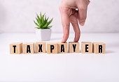 the word taxpayer wooden cubes with burnt letters, debts, gray background top view