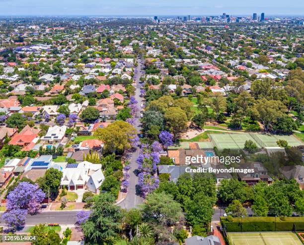 cityscape: aerial view of leafy eastern suburbs of adelaide with purple jacaranda & park - adelaide stock pictures, royalty-free photos & images