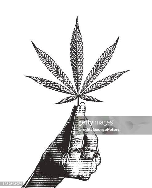 handhalten hanfblatt - cannabis medicinal stock-grafiken, -clipart, -cartoons und -symbole