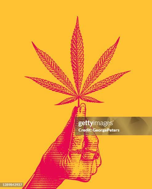 hand holding hemp leaf - cannabis oil stock illustrations