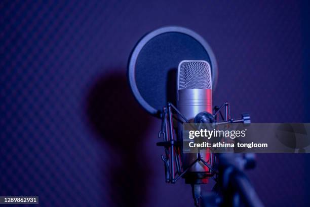 microphone - mikrofonhållare bildbanksfoton och bilder