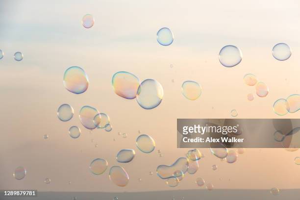 bubbles against a clear evening sky - soap stockfoto's en -beelden