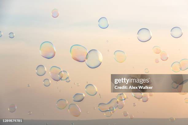 bubbles against a clear evening sky - soap sud stock pictures, royalty-free photos & images