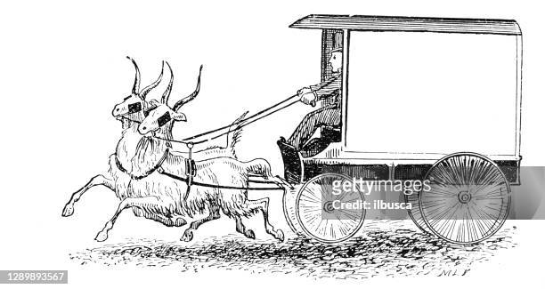 antique illustration: goat powered carriage - animals in captivity stock illustrations