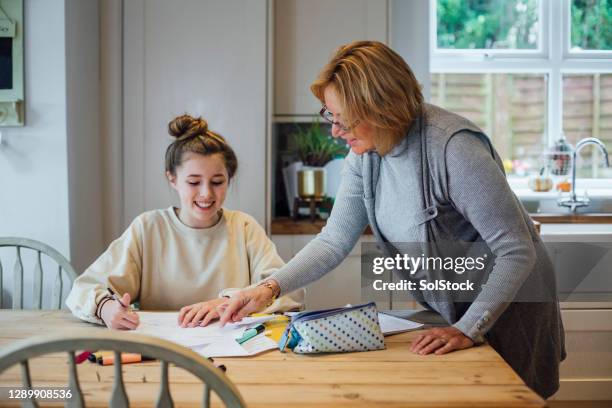 lets try this - homeschooling stock pictures, royalty-free photos & images