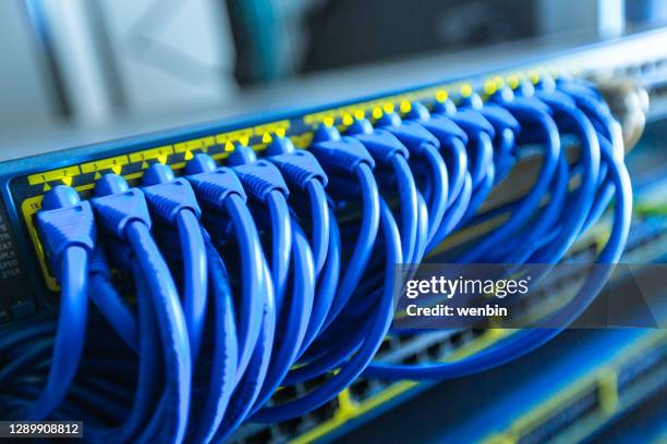 network cables connected to switch - bandwidth management stock pictures, royalty-free photos & images