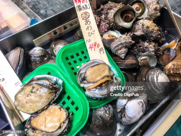 seashells at the market - abalone ストックフォトと画像
