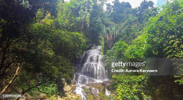 namtok na mueang waterfalls in koh samui, thailand - thailand koh samui stock pictures, royalty-free photos & images