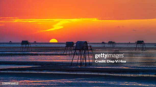 dawn at the clam watch hut - orchard beach stock pictures, royalty-free photos & images