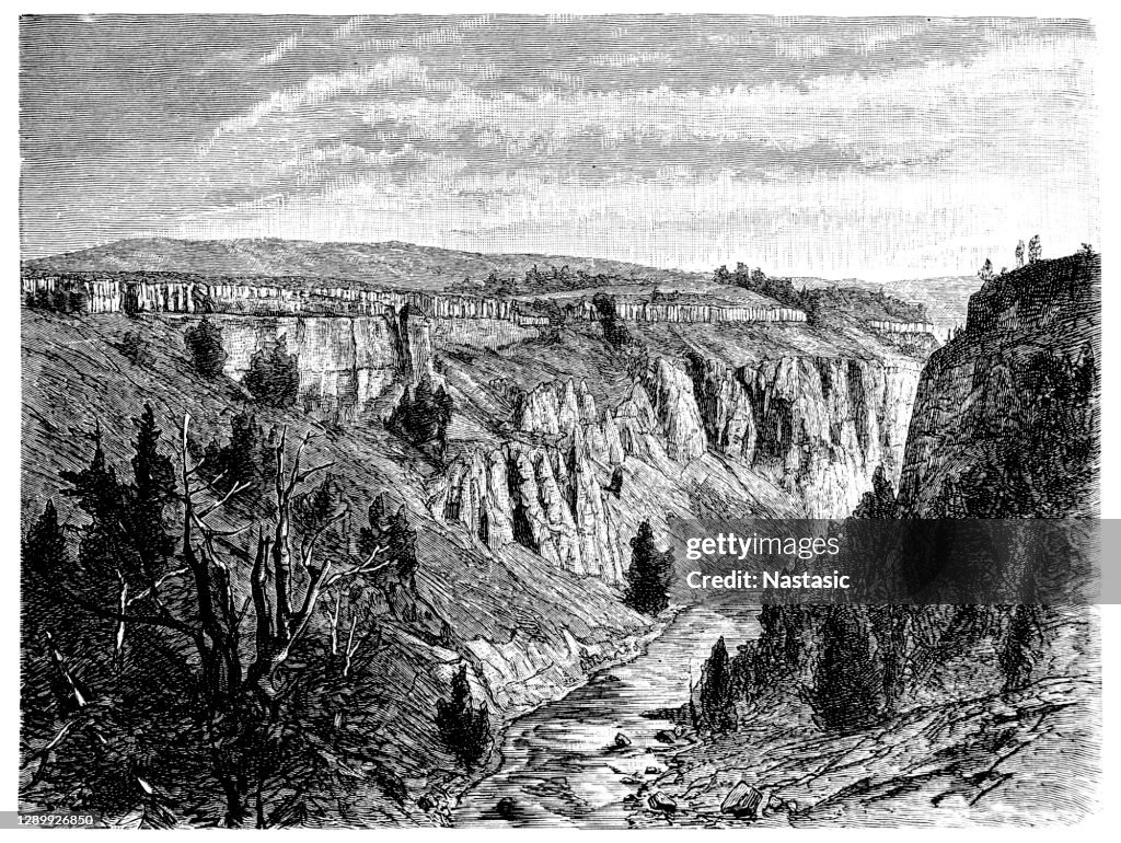 Column basalts from the Colorado River (Spanish: RÃo Colorado) (North America)