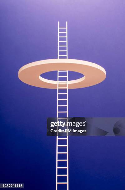 ladder through a ring - agility ladder stock pictures, royalty-free photos & images